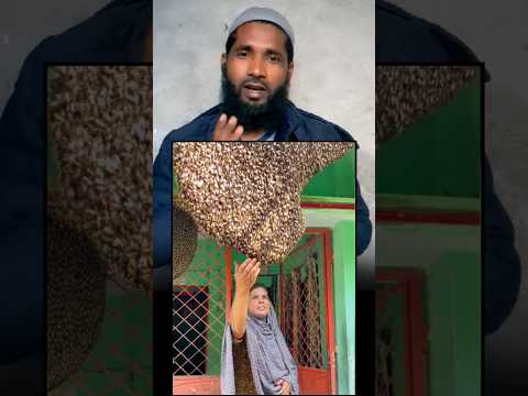 ye bahan shahad ki makhi ghar me pal rakhi hai 🥹