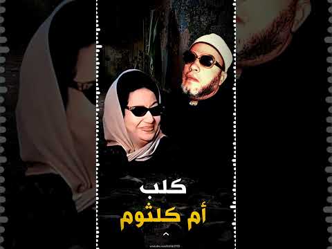 اضحك مع الشيخ كشك وقصة كلب ام كلثوم  #shorts