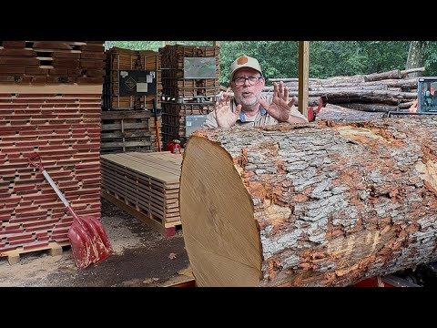 What's Inside this 210 Year Old White Oak! Older than the Rail Roads