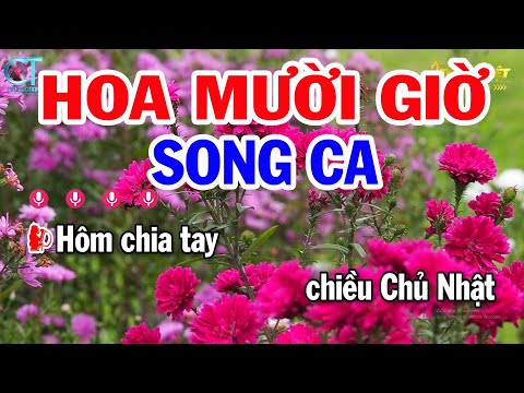 Karaoke Hoa Mười Giờ Song Ca ( Dm ) Nhạc Sống Tuấn Kiệt