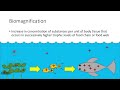 Mercury Exposure and Environmental Impact