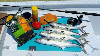 Catch n' Cook Spanish Mackerel Sandwiches on a Beach!
