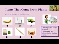 Understanding Plant Biology Concepts