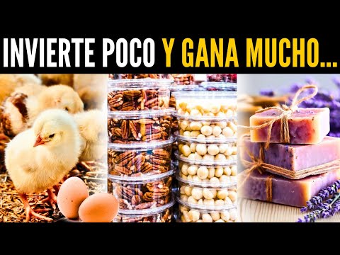 10 Negocios con POCA inversión y MUCHA ganancia