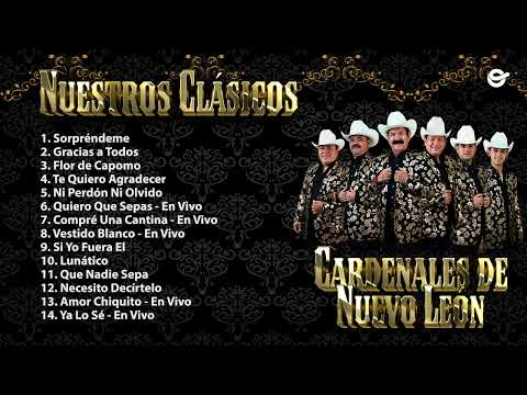 Cardenales de Nuevo León - Nuestros Clásicos (Mix 2024)