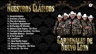 Cardenales de Nuevo León - Nuestros Clásicos (Mix 2024)