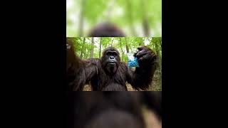 #bigfoot #bigfootvlogs #fyp #viralvideo #usa