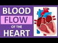 Navigating Blood Flow Through the Heart