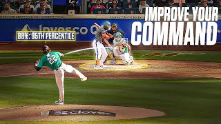 The Best Ways To Train Command