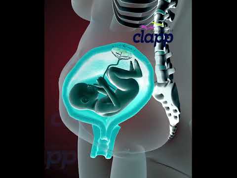 Precious Baby Moments Inside the Womb! 👶🌈 #WombWonder #BabyMoments" (3D Animation)