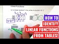 Understanding Linear Functions