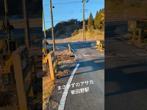 【情熱朝活🌞】 R6/12/24 新田野駅 冬休み クリスマスイブ メリークリスマス まさかずのアサカツ 千葉県議会議員 小路正和