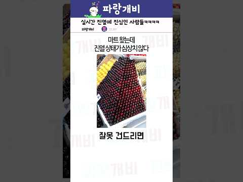 실시간 진열에 진심인 사람들ㅋㅋㅋㅋ