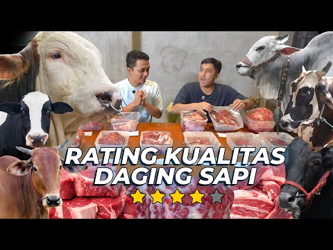 GUE DAN MAS HERMAWAN  KAGET..! KUALITAS DAGING JANOKO,SAPI MADURA,SAPI PO DILUAR DUGAAN !