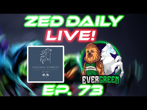 Zed Daily EP. 73 | @ChicagoStables | Zed run