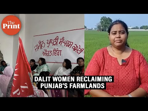 ‘We are born on this land, have a right to it’— Dalit women reclaiming Punjab’s farmlands