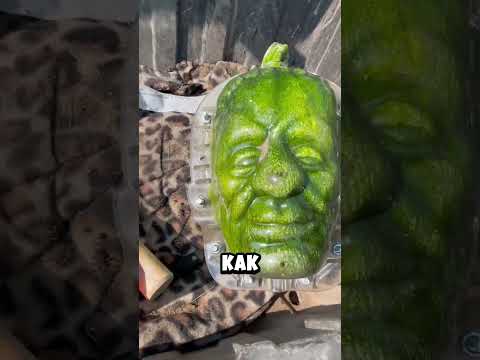 Жуткие тыквы😱