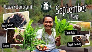 Membuat Campuran Media Tanam Organik Terbaik Untuk Tanaman | Sept 2025