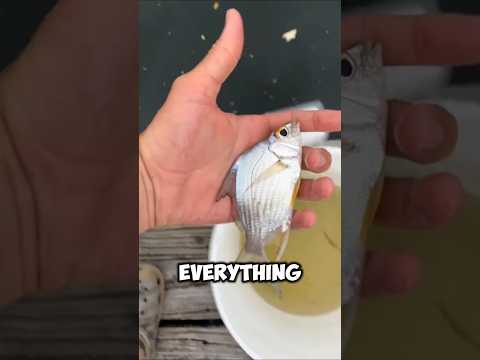 What Happened After He Let It Go 😱