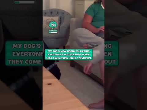 My dog's special talent in uni