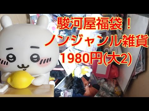 駿河屋福袋！ノンジャンル雑貨1980円(大2)