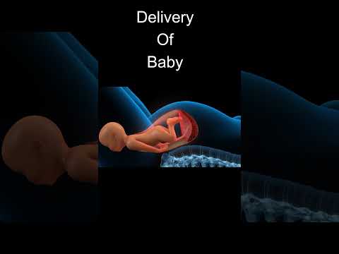 Normal Delivery