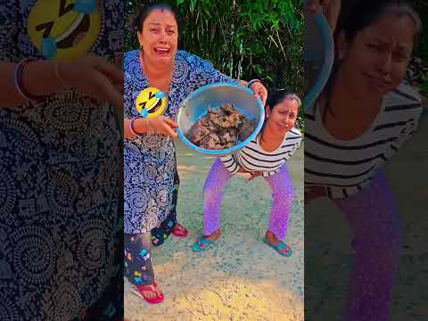 কত হেগে দিয়েছে #funny #entertaininganimals #standupcomedy #entertament #funnycomedy