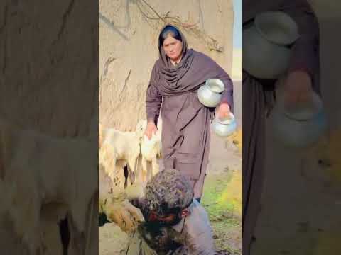 ভারতের আশ্চর্যজনক গ্রাম। Attractions Of Dong Village | Divya Tv |