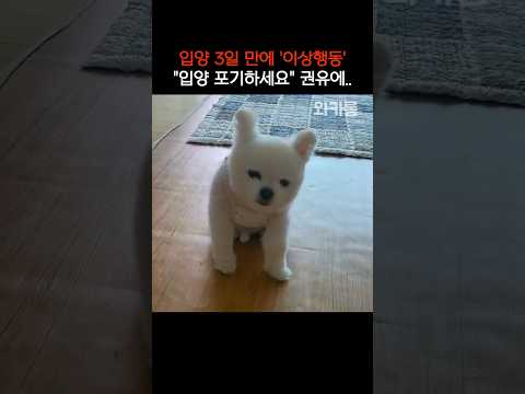 ‘입양 포기’ 권유에.. 입양자가 답한 ‘세 글자‘