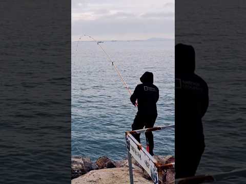 뭐지! 낚시대 부러지면 안돼 ! #shorts