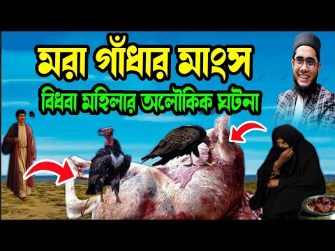 মরা গাঁধার মাংস  বিধবা মহিলার অলৌকিক ঘটনা শাহিদুর রহমান মাহমুদাবাদী ওয়াজ new waz  ২০২৫
