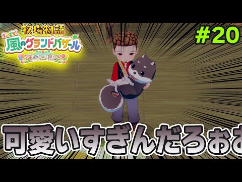 【新作】完全初見で楽しみまくる牧場物語リメイクの新作を実況プレイ！#20【Let's！風のグランドバザール】【ぽんすけ】