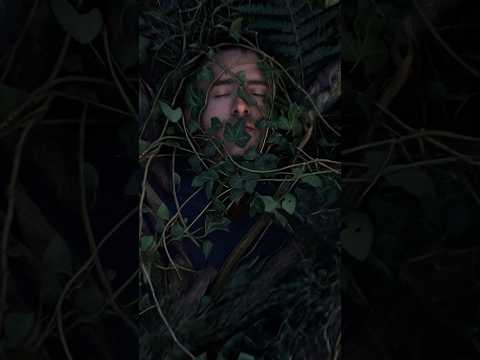 Let me add to The Weight of the Woods.