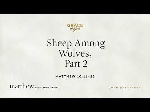 Sheep Among Wolves, Part 2 (Matthew 10:16–23) [Audio Only]