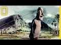 Moai Statue Movement and Theories