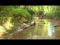River Watch Site Assessment