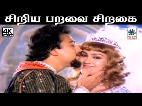 Siriya Paravai 4k இசைஞானியின் இசையில் SPB, S ஜானகி பாடிய பாடல் சிறிய பறவை சிறகை