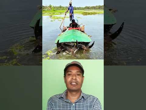 কচুরি পানা পরিষ্কার করার মেশিন।   #gadgets #youtubeshorts