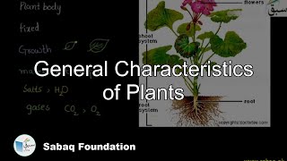 General Characteristics of Plants