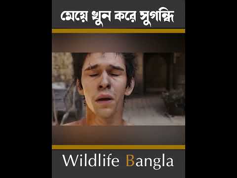 পারফিউম বানাতে গিয়ে সাইকো সিরিয়াল কিলার #wildlife bangla