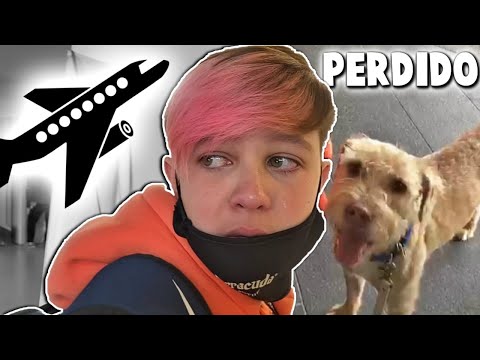 MI PERRO ODDY DESAPARECIÓ!