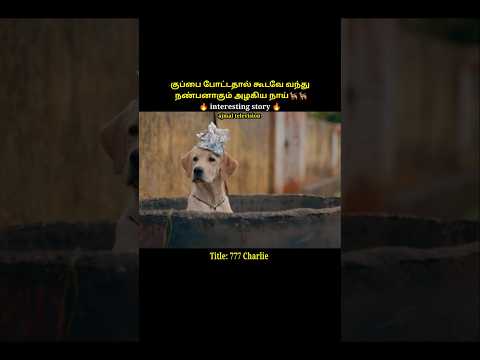 A person with a beautiful personality who takes in and raises a street dog#shorts #short