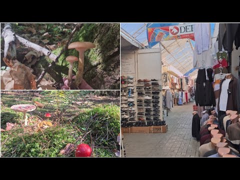 З ТИХОГО ЛІСУ, НА ГАЛАСЛИВИЙ РИНОК 🌰🍄🟫🌲🍁👨🏫🧏♀️🧑💼🧕💃🕺