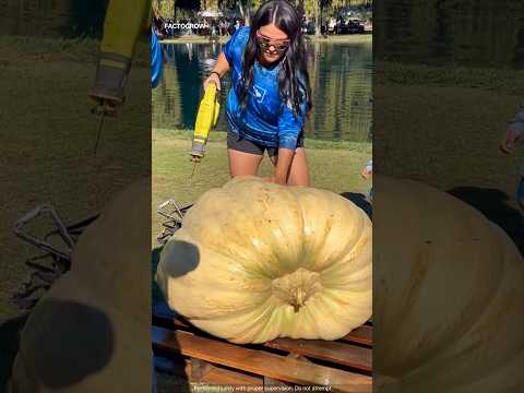 They Turned Pumpkins Into Boats