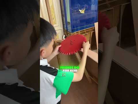 🚌✨ Langlang made an ultra-cool bus for Julie#funny