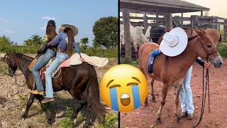 MINHA MULA MORREU 😭 FUI VISITAR MINHA FAMÍLIA.