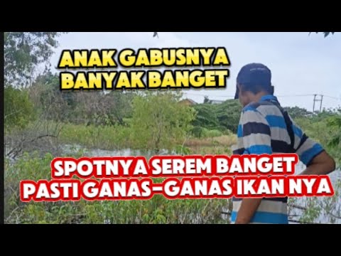 Spot di sini serem banget gabusnya pasti ganas-ganas nih