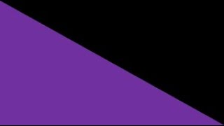 niche political views