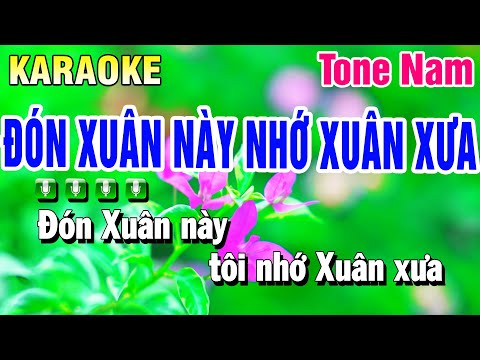 Karaoke Đón Xuân Này Nhớ Xuân Xưa Tone Nam ( Beat 2025 ) Huỳnh Anh