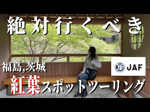 【絶景紅葉】こんな紅葉スポット知ってた!!?【スタンプラリー】